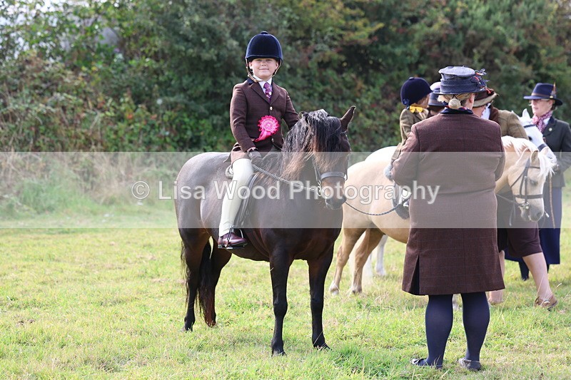 3E7A3785 - Class 2: Lead rein