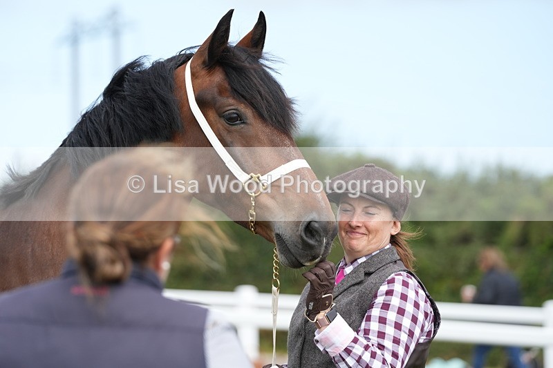 DSC05853 - Class 51: NPS M&M 4 years and over Large Breeds