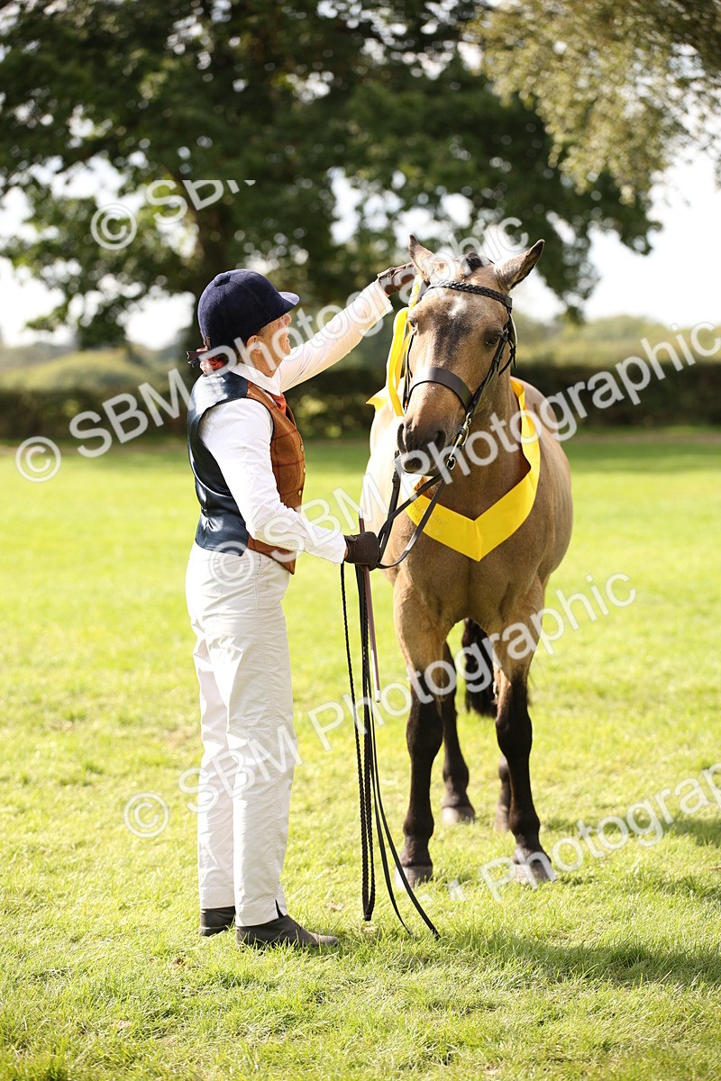 SBM_46416 - S25 - Mature Veteran In Hand