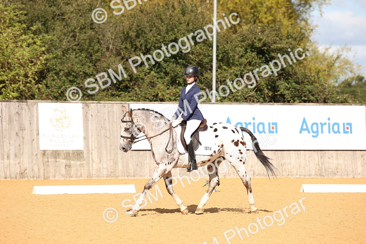 SBM_01959 - D2 Small Tour Championship Intro C