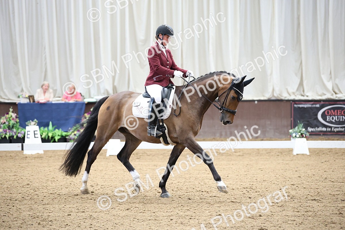SBM_002159 - Class 5 - Novice 6 Gold - 9.00-10.10