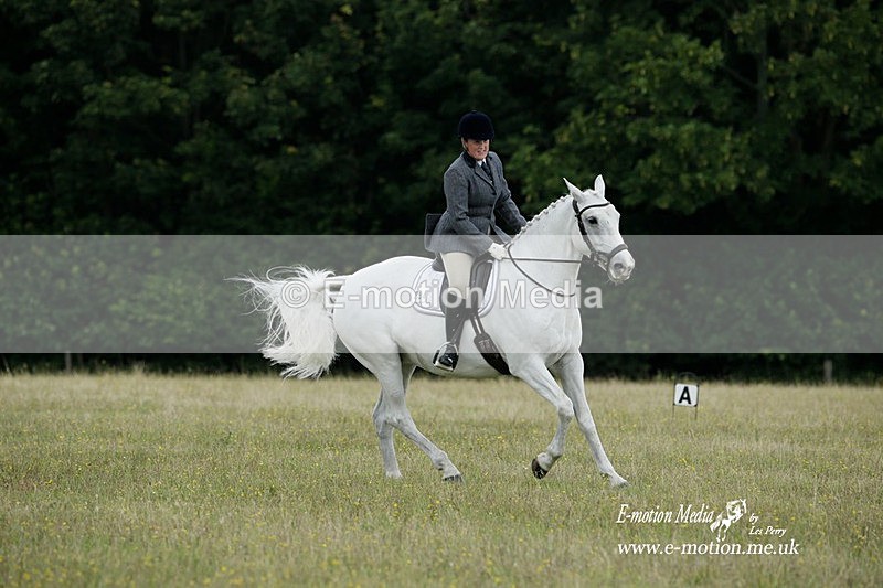 BVRC 030721 385 - Bourne Valley Riding Club Dressage 03/07/21