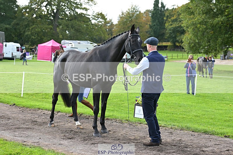 241023-132737-00304 - 058-Jack.Ashworth-TIMEPEICE.BLUE