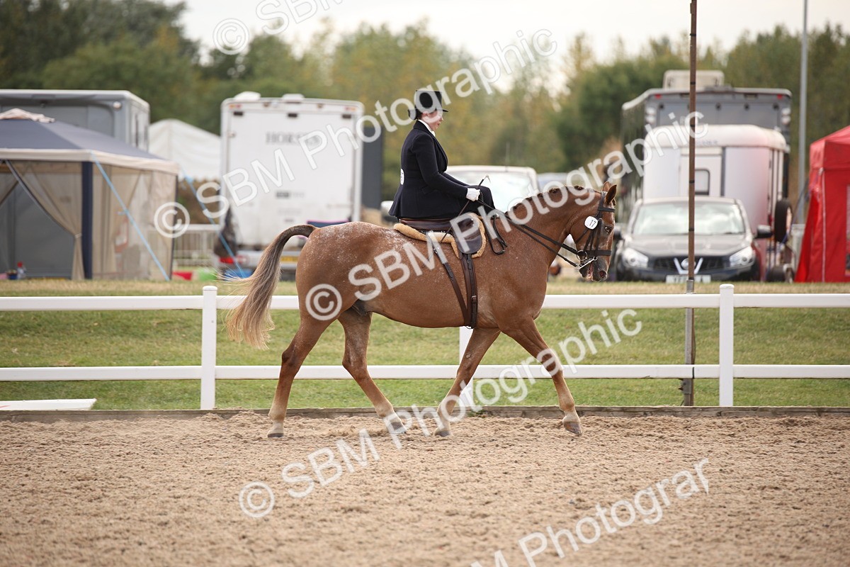 SBM_06633 - Class 23 SSA Classical