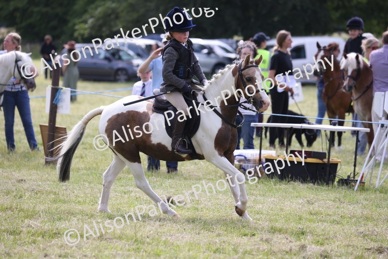 20260614-0700 - Class 20 - Beginners Working Hunter Pony