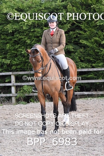 BPP_6983 - RING 1  (RIDDEN HORSES / IN HAND / VETERAN ETC)