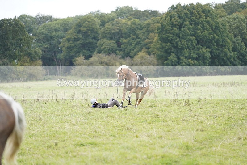_DSC7905 - Time at Photographer 11:57 to 12:36