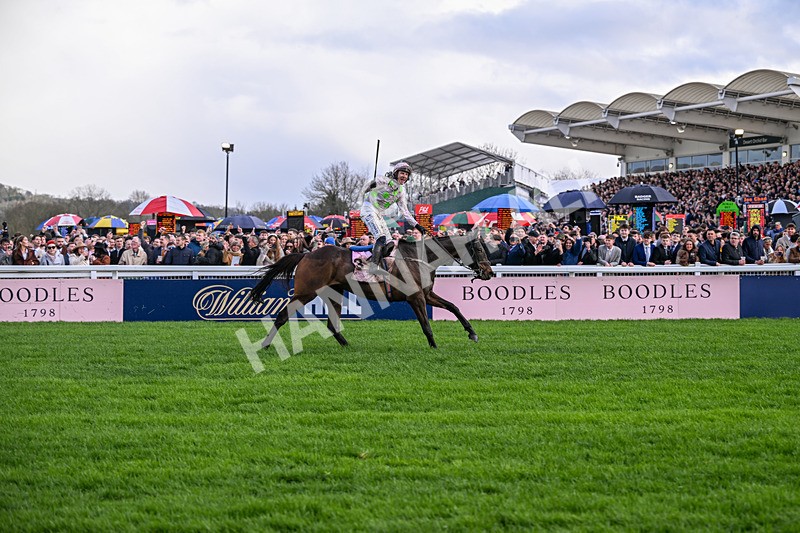 130326-Race 5-Gaelic Warrior-2645 - 13th March
