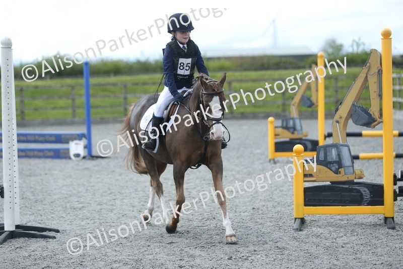 20260412-1749 - Show Jumping