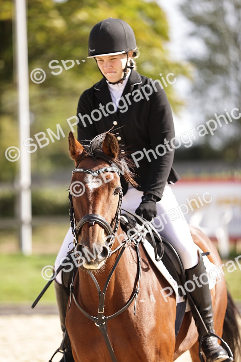 SBM_18484 - Supreme Championship