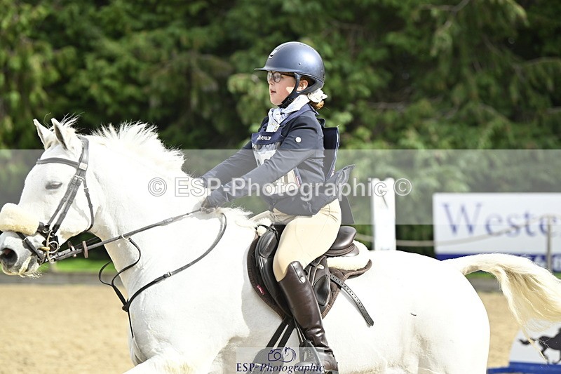 251005A-125053-03918 - Cls 08 Mini 70-75cm