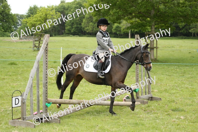20250517-0469 - Class 20 - Beginners Working Hunter