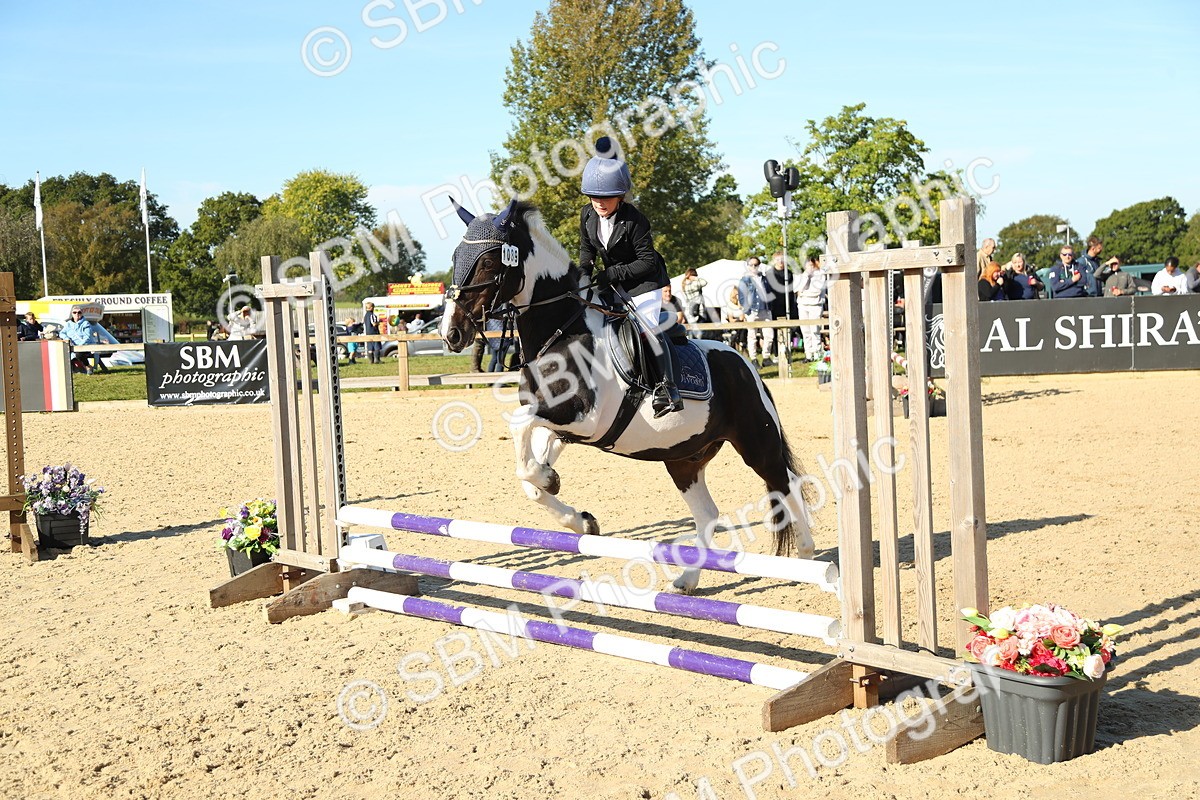 SBM_35900 - J5 - Junior Pony 50cm Championship
