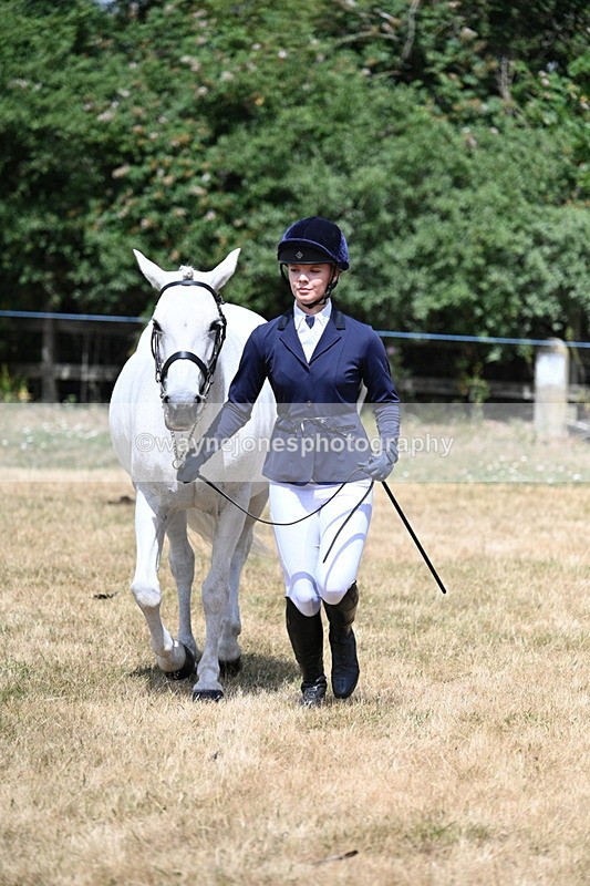 WJ7_1599 - Class 4 Prettiest Mare up to 14.2hh in hand