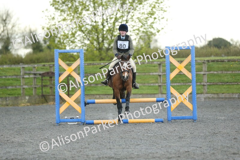 20260412-1910 - Show Jumping