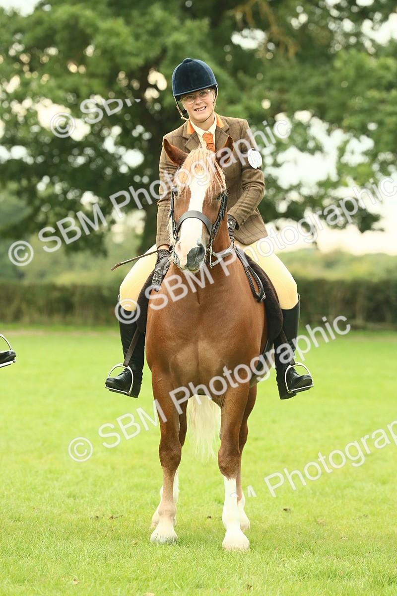 SBM_72191 - S60 - Mountain & Moorland Ridden Large Breeds