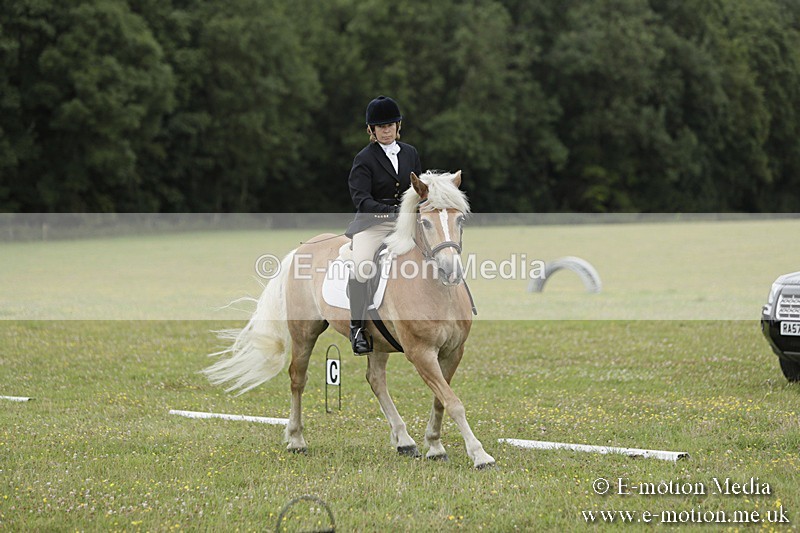 BVR160717-1158 - Class 2 Dressage 16/07/17