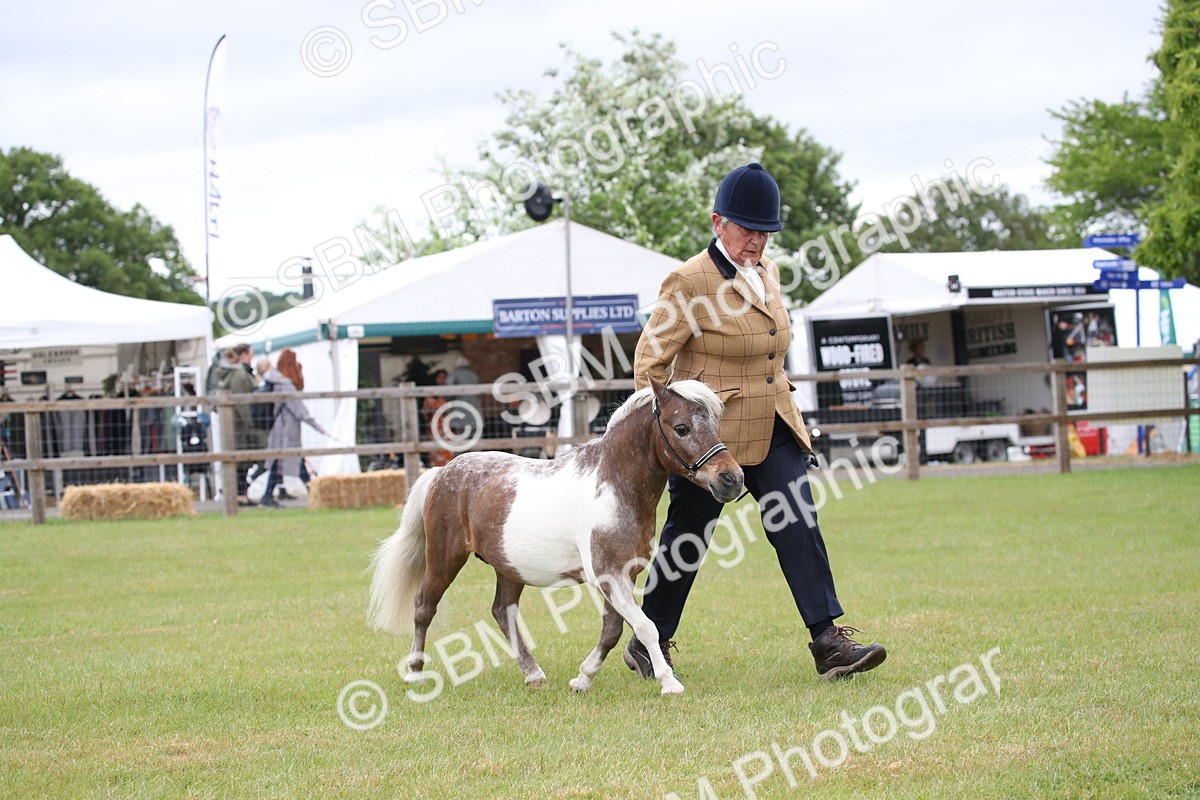 SBM_03742 - Class 23-25 - British Miniature Horse of the Year