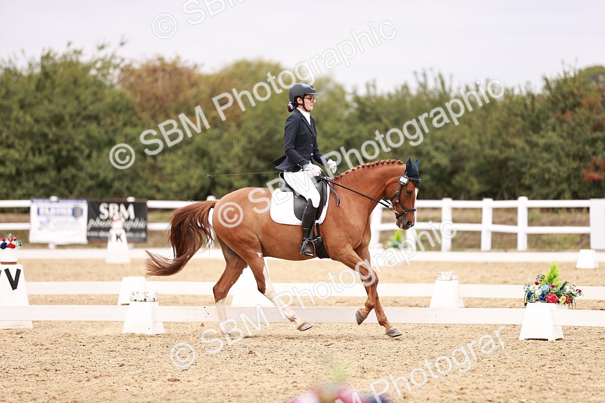 SBM_019301 - Class 20 - Medium 5