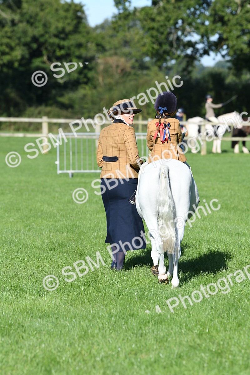 SBM_35442 - S17 - Condition & Turnout - Lead Rein