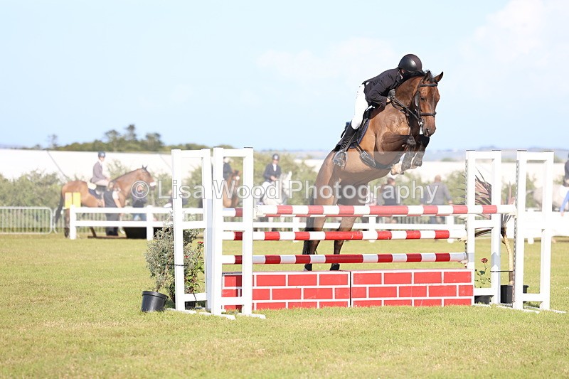 3E7A4322 - Class C: Showjumping Senior Foxhunter