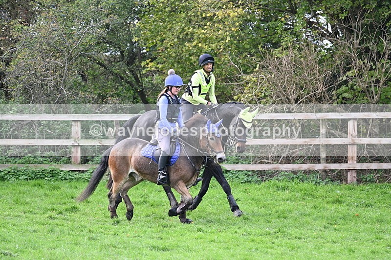 WJ7_8473 - Time 12:12 to 12:37