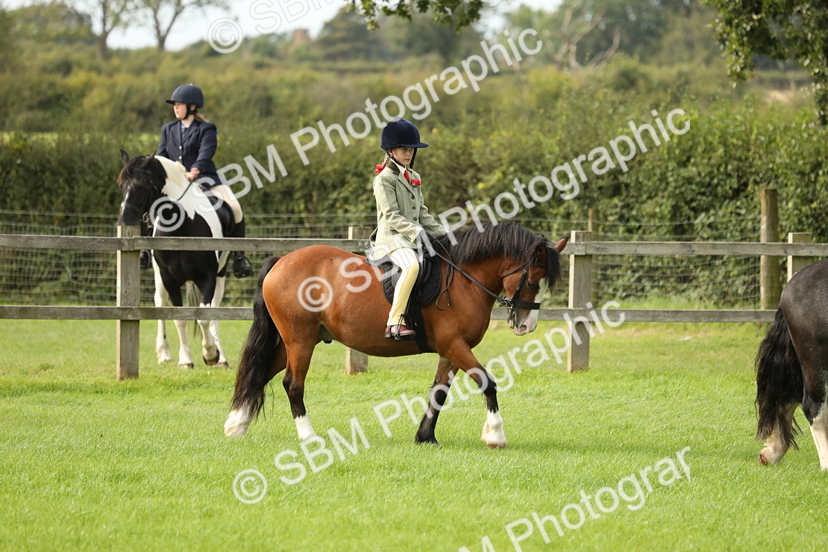 SBM_71468 - S41 - Ridden Equitation (Best Rider)