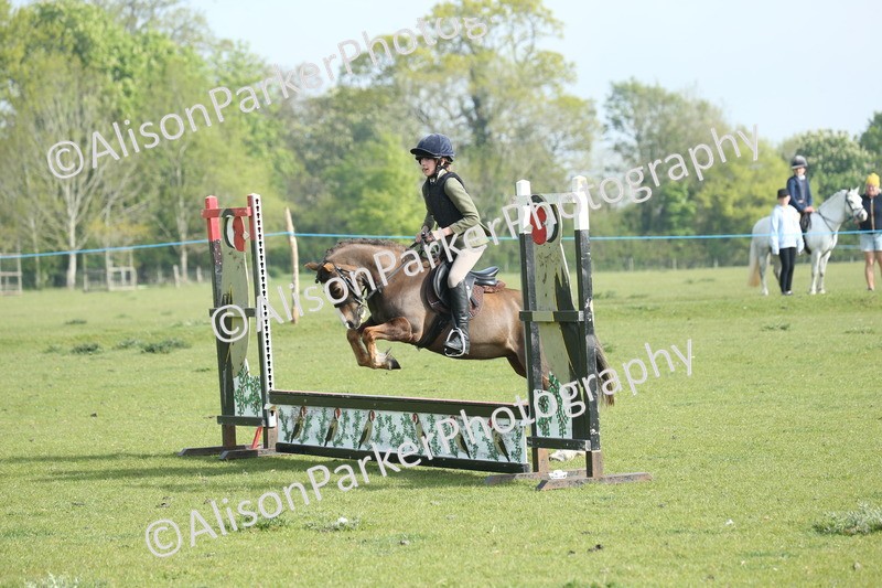 20260426-0034 - Class 13 - Rookie Jumping 50cm