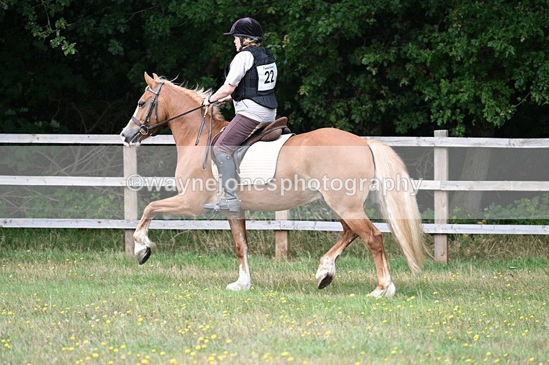 WJ7_0312 - XC Time 10:05 to 12:27