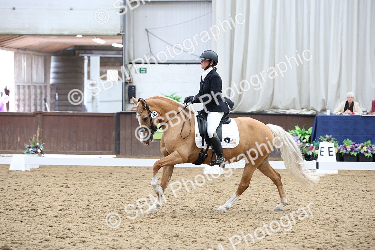 SBM_007542 - Class 23 - Medium FSM Bronze