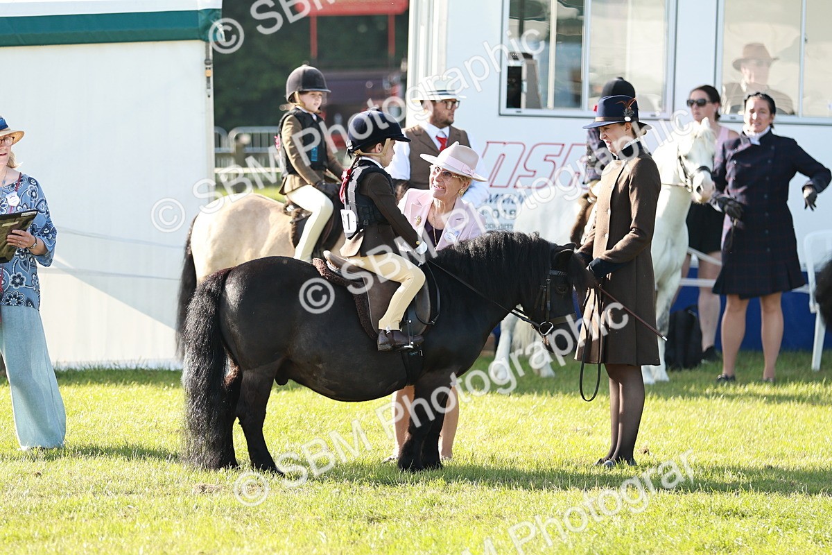 SBM_11068 - Class 106-107 - BSPS LIHS Working Sports Pony