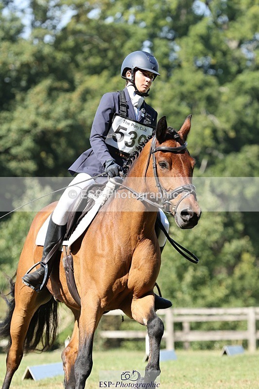 250823A-105249-27836 - Arena D