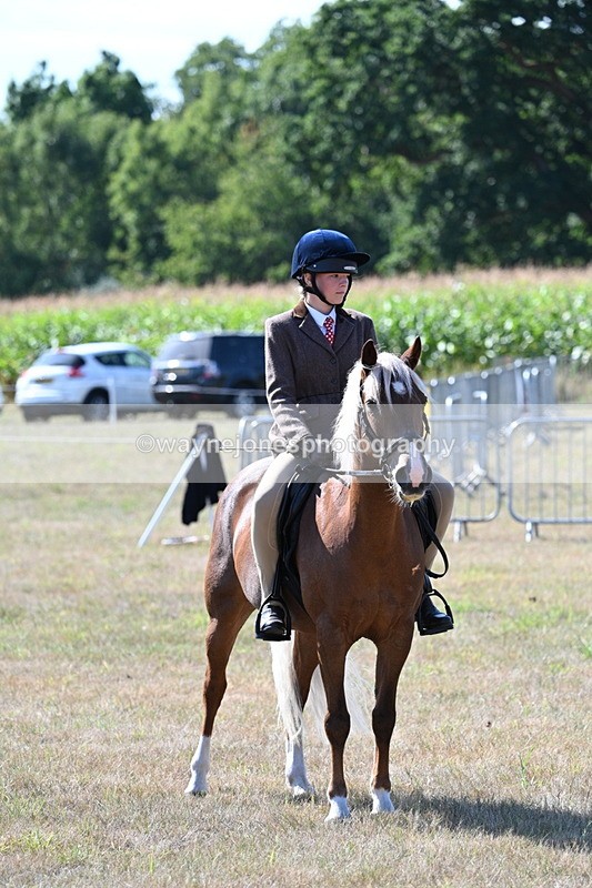 WJ7_3585 - Class 9 Mountain & Moorland Ridden