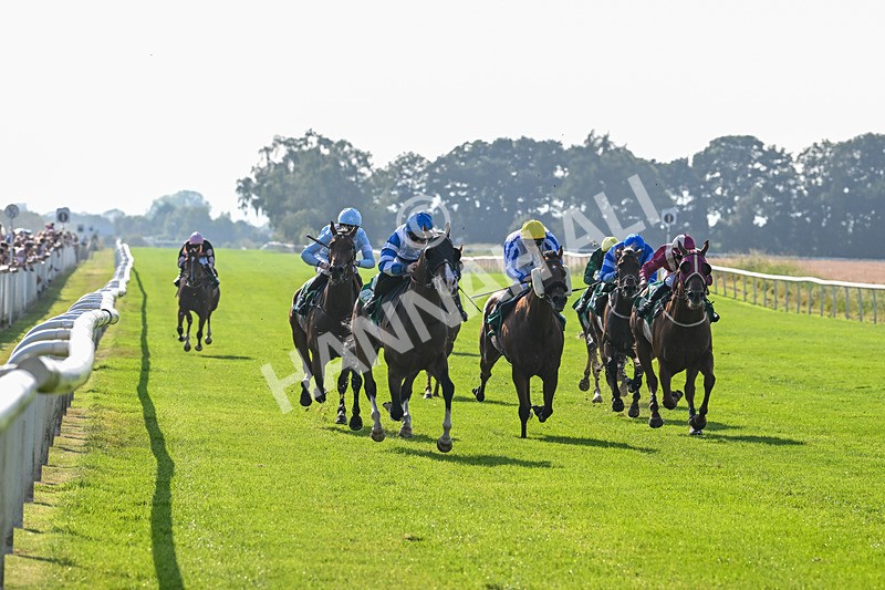 300824-Race 6-Havana Sky-6357 - Race 6