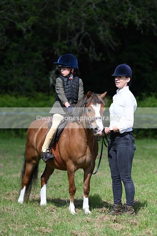 WJ7_0784 - Class 8 First Rally Pony