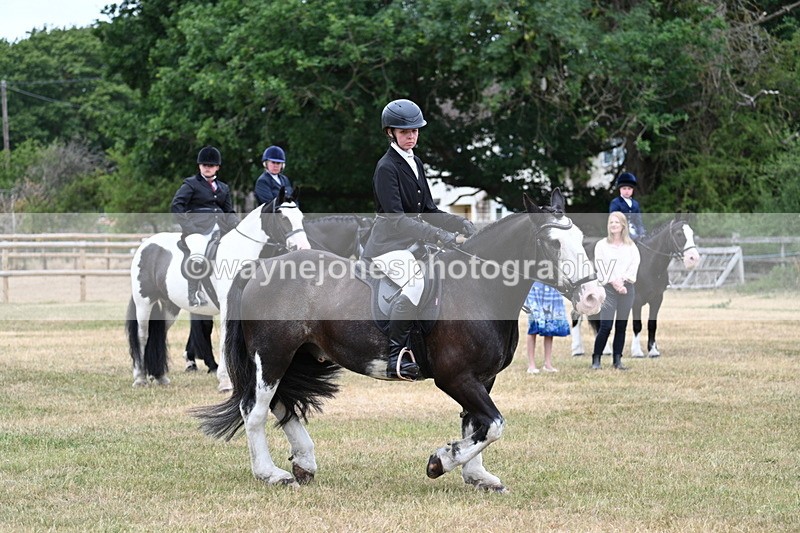 WJ7_1080 - Class 3 Family Mount