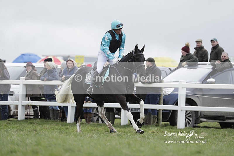 PtP 260323 0220 - New Forest Hounds Point-to-Point Larkhill 26/03/23