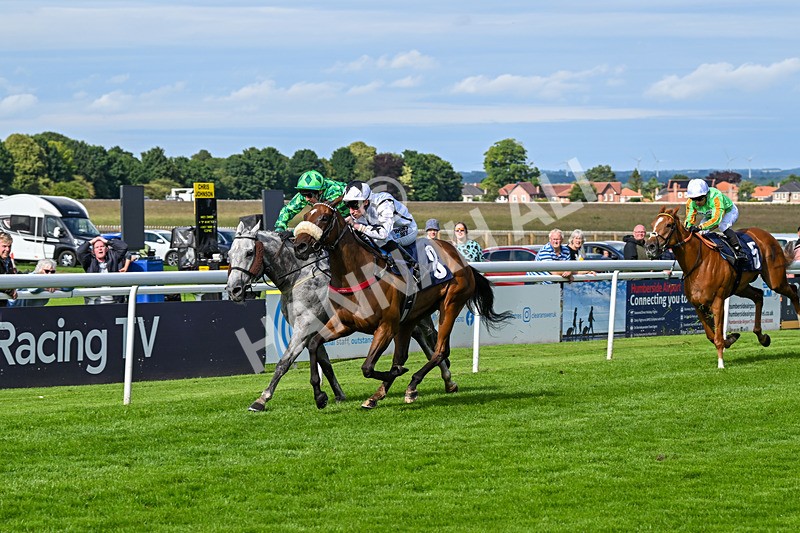 160724-Race 6-Blufferonthebus-9442 - Race 6