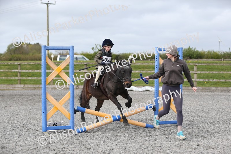 20260412-0131 - Show Jumping