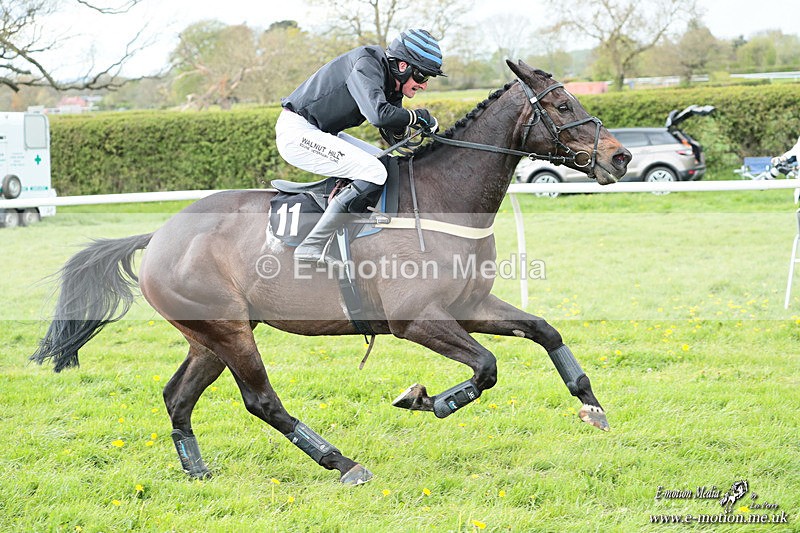 PtP 180426 575 - Worcestershire Hunt PtP Chaddesley Corbett 18/04/26
