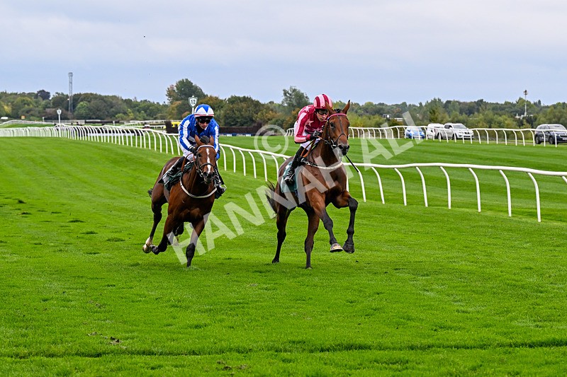 011025-Race 3-Real American-0244 - Race 3