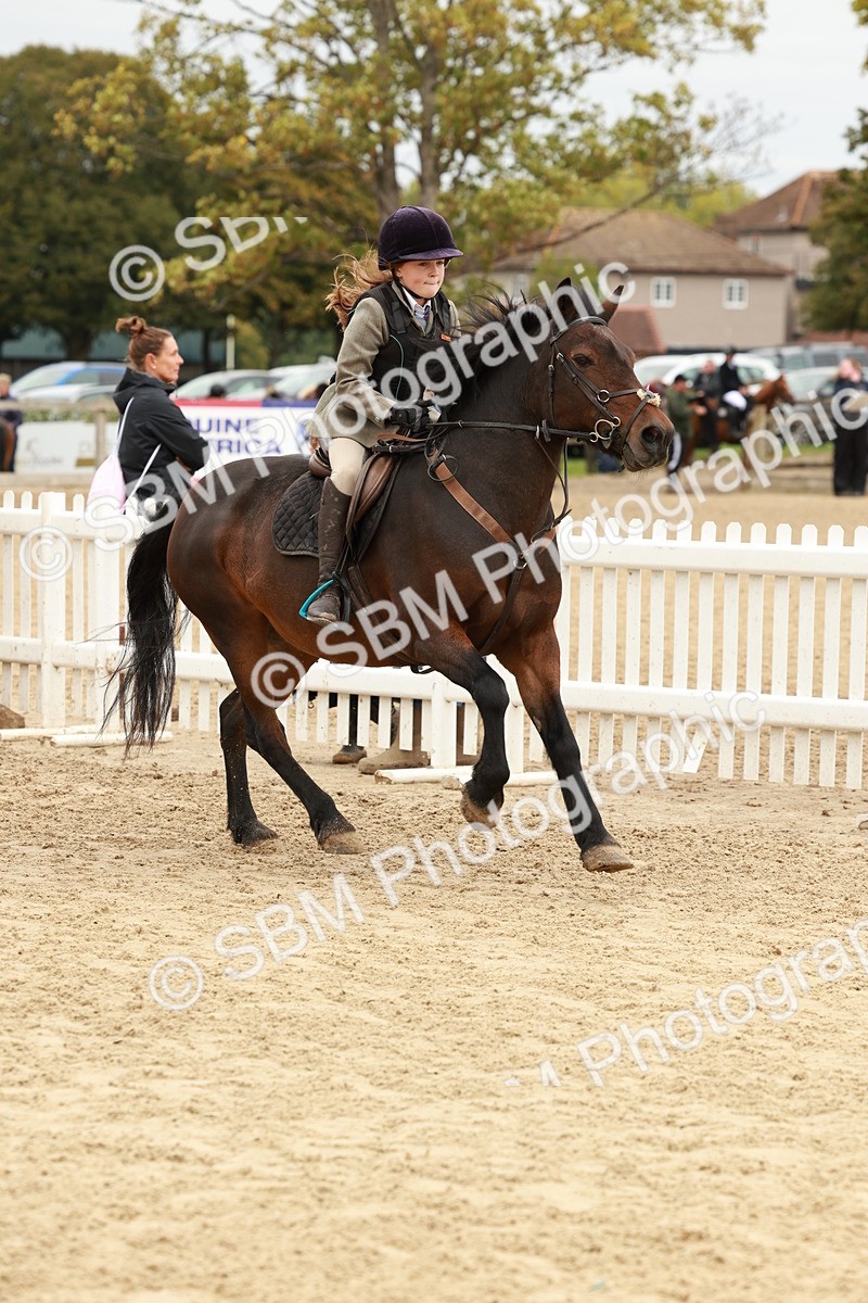 SBM_66888 - J13 - Junior Pony 60cm Championship