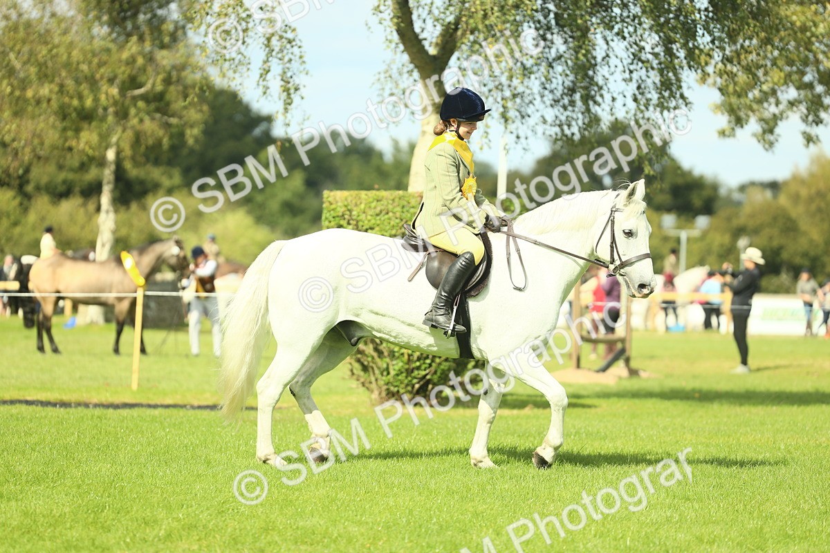 SBM_44888 - Working Hunter Pony Supreme Championship