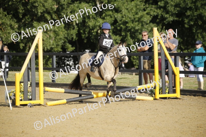 20250622-1156 - 40cm