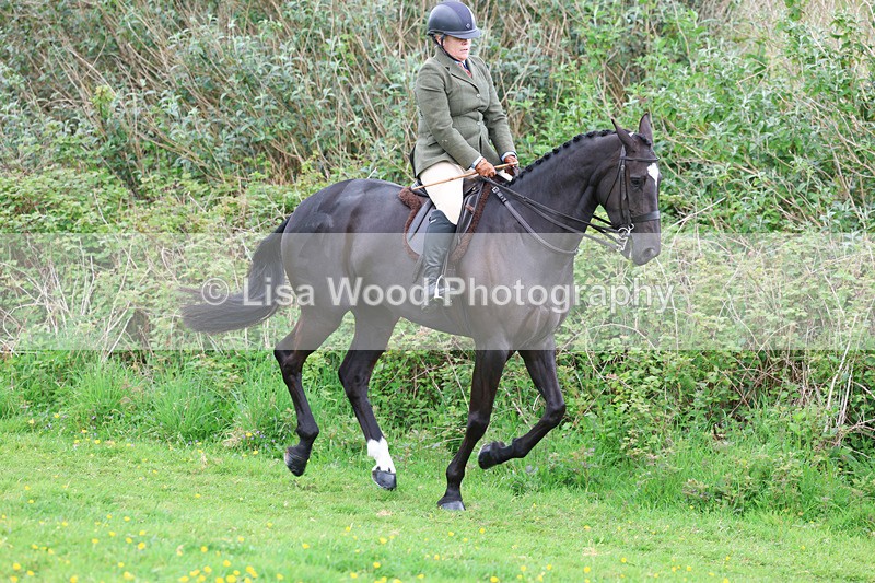 3E7A1136 - Class 7: Ridden Hunter Type