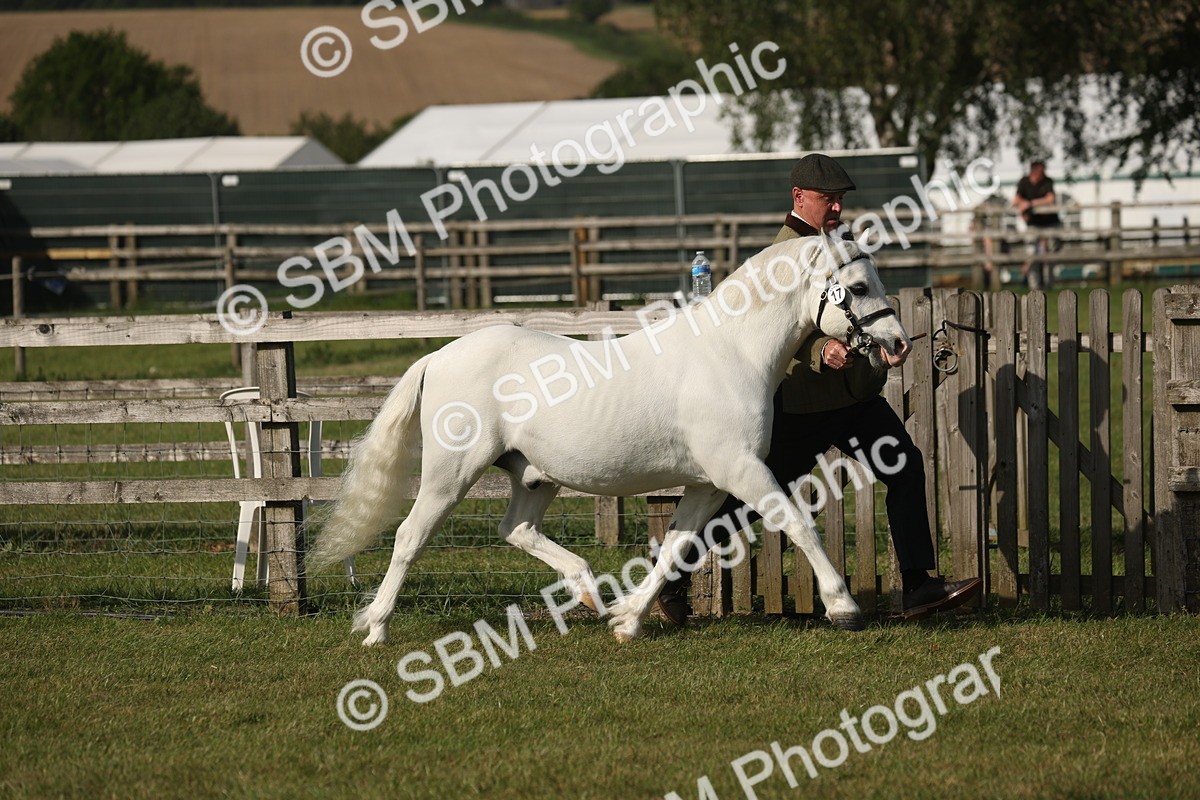SBM_10340 - Class 33-38 - SSADL RIHS Qualifiers