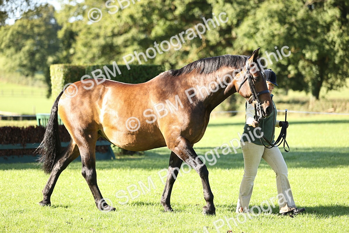 SBM_15763 - S1 - TSR in Hand Horse & Pony Showing
