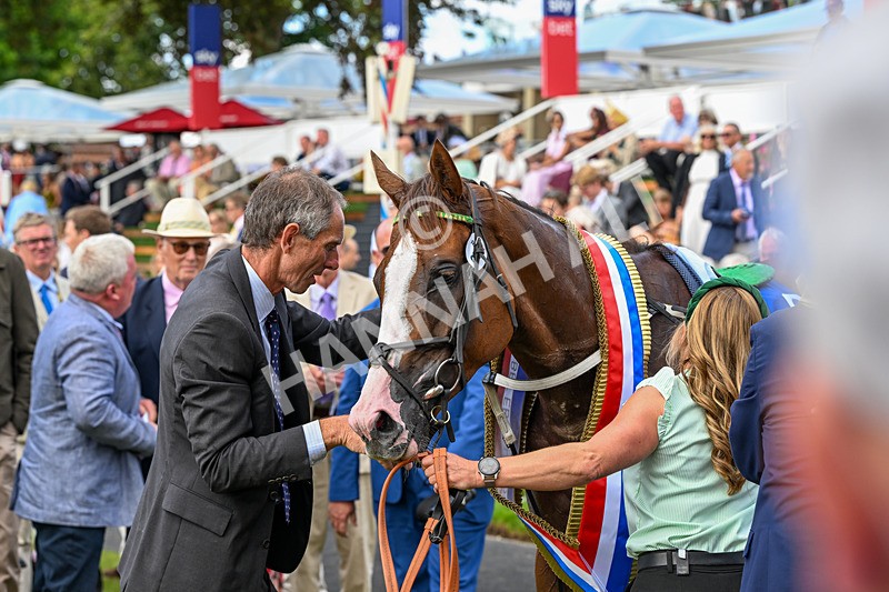 220826-Race 4-Daiquiri Bay-0867 - Race 4 15.35pm Sky Bet Ebor Handicap