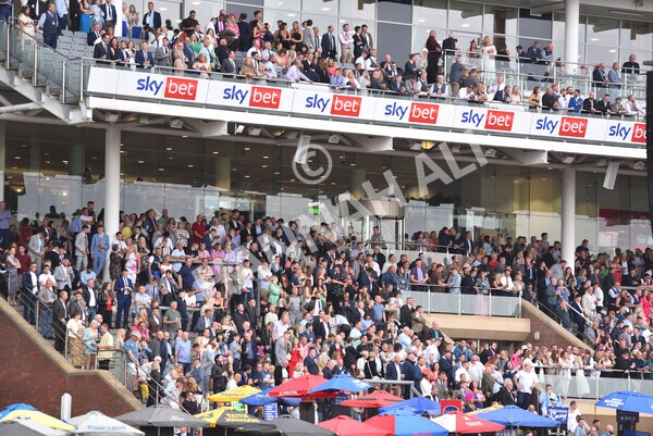 yr22072022r4-45 - Race 4 6.50pm The IRE Incentive It Pays To Buy Irish EBF Restricted Novice Stakes