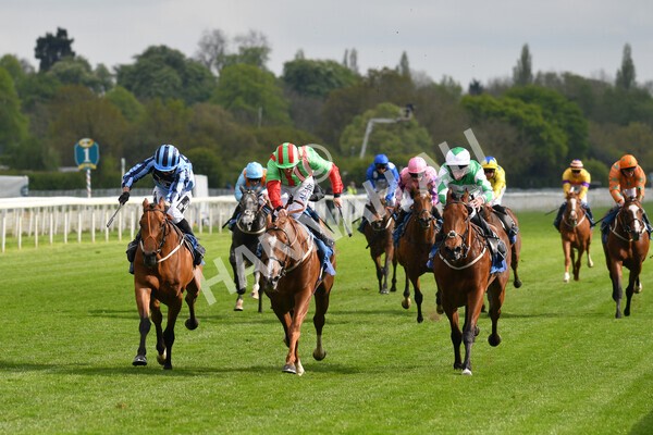 yr14052021r7-19 - Race 7 4.50pm Irish Thoroughbred Marketing Stakes